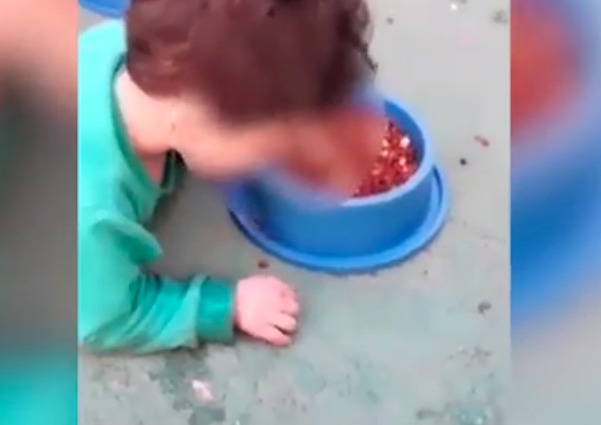 mamma costringe bimbo a mangiare come cane 07142608 1