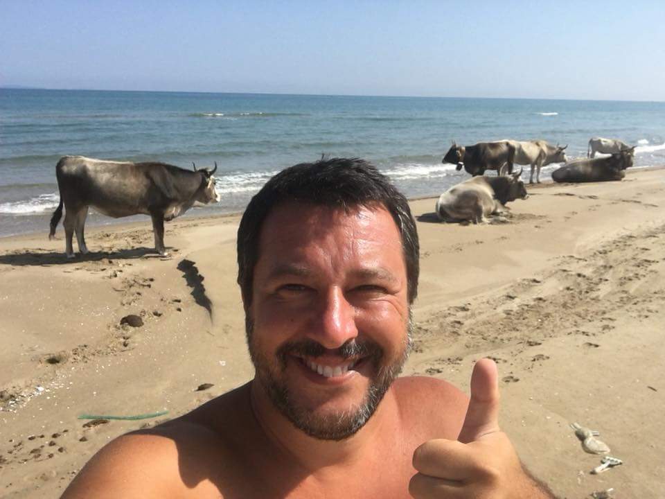 38862505 10155982271643155 1867942377235152896 n