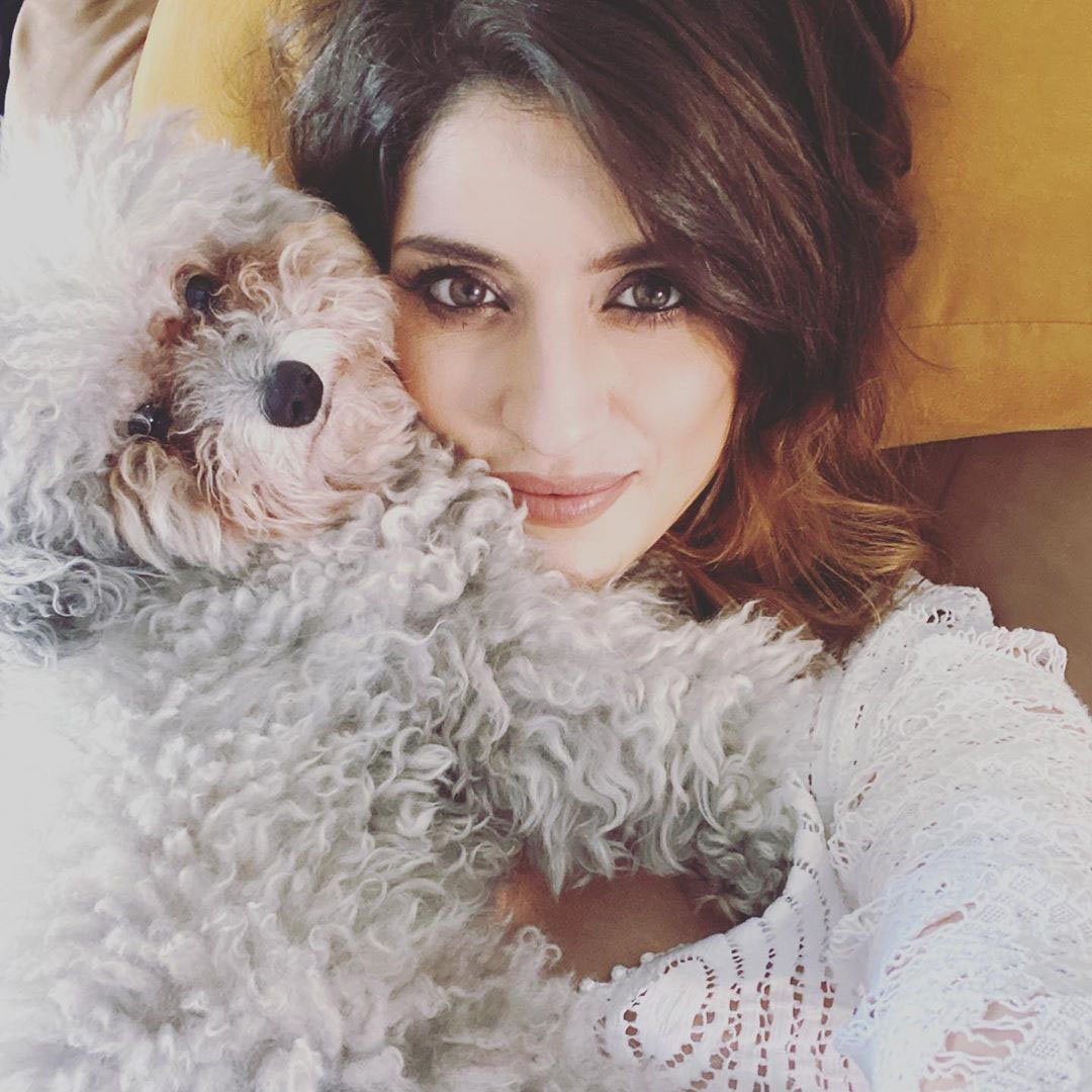 cancellata la prova del cuoco dopo 20 anni via elisa isoardi e la rivincita di antonella clerici che si riprende tutto 5ed8e97879fee