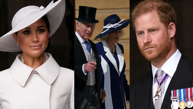 meghna harry carlo lapresse