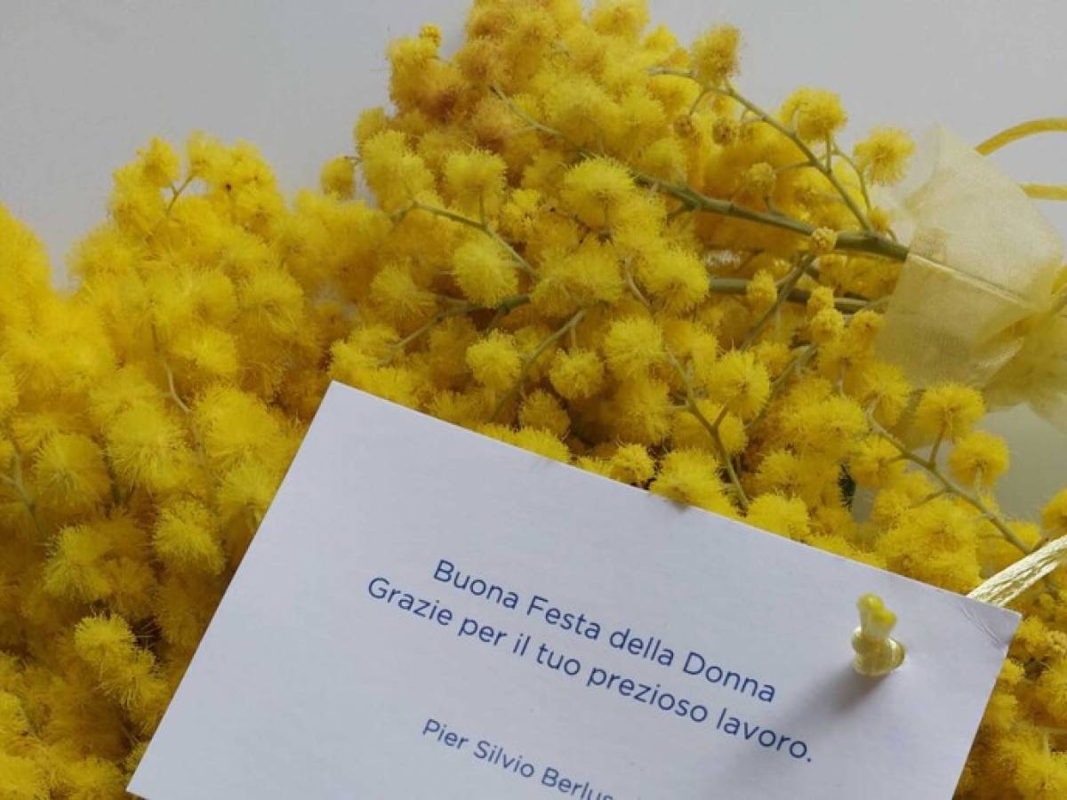 pier silvio berlusconi festa della donna