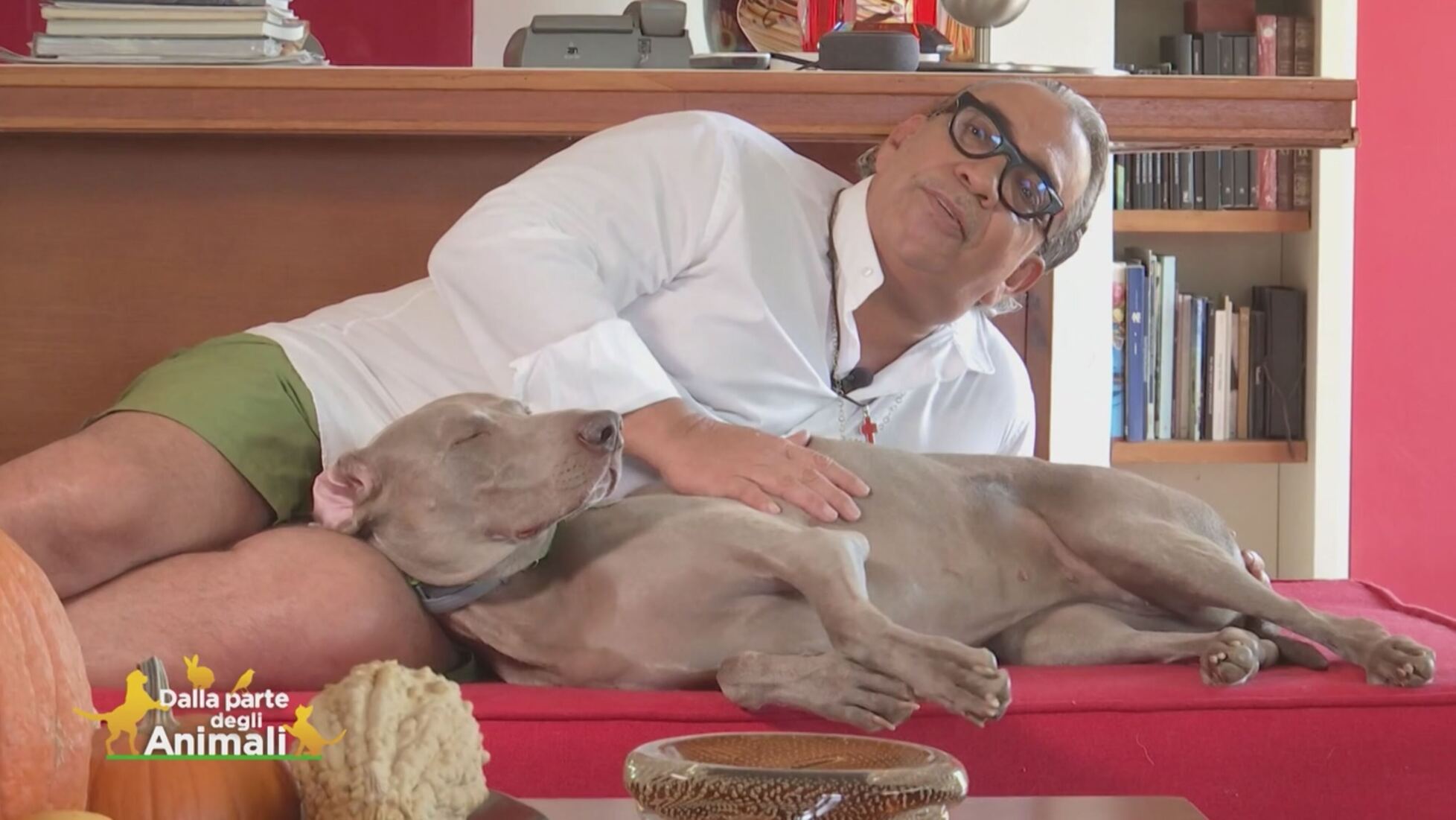 guillermo mariotto cane