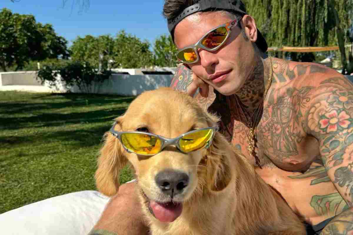 fedez silvio golden