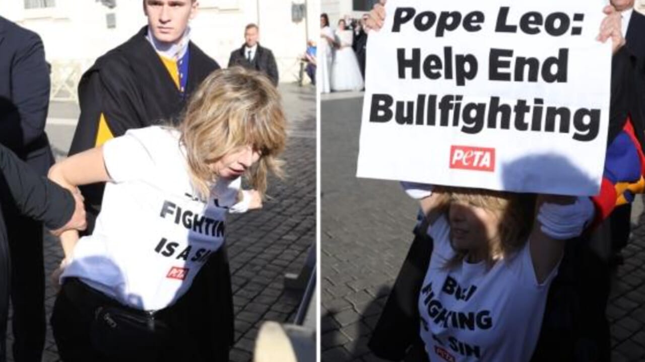 loredana cannata arrestata