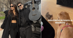 fedez e il gattino maurizio