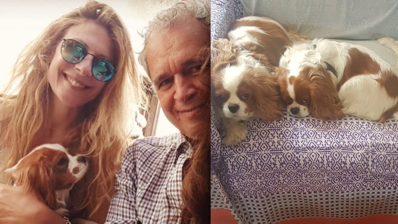 enrico mentana fagnani cani